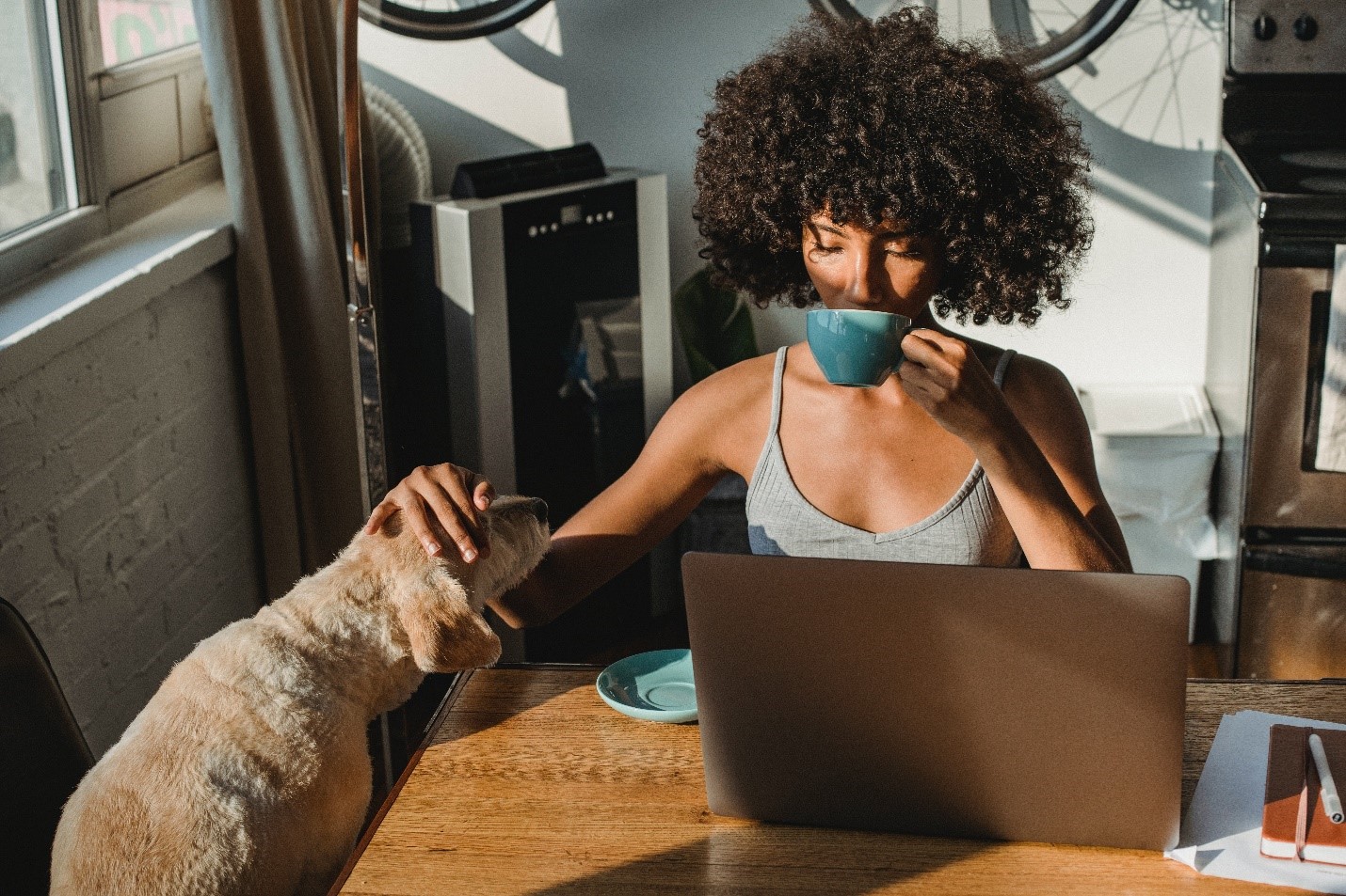 woman drinking coffee in front of her laptop while petting her dog